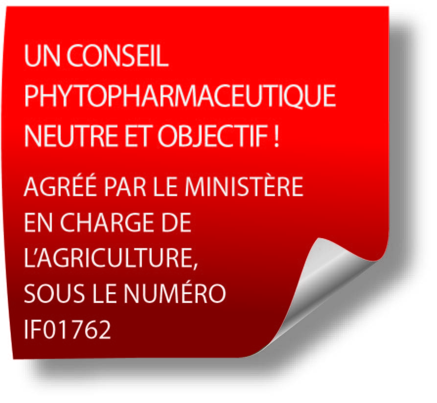logo ca